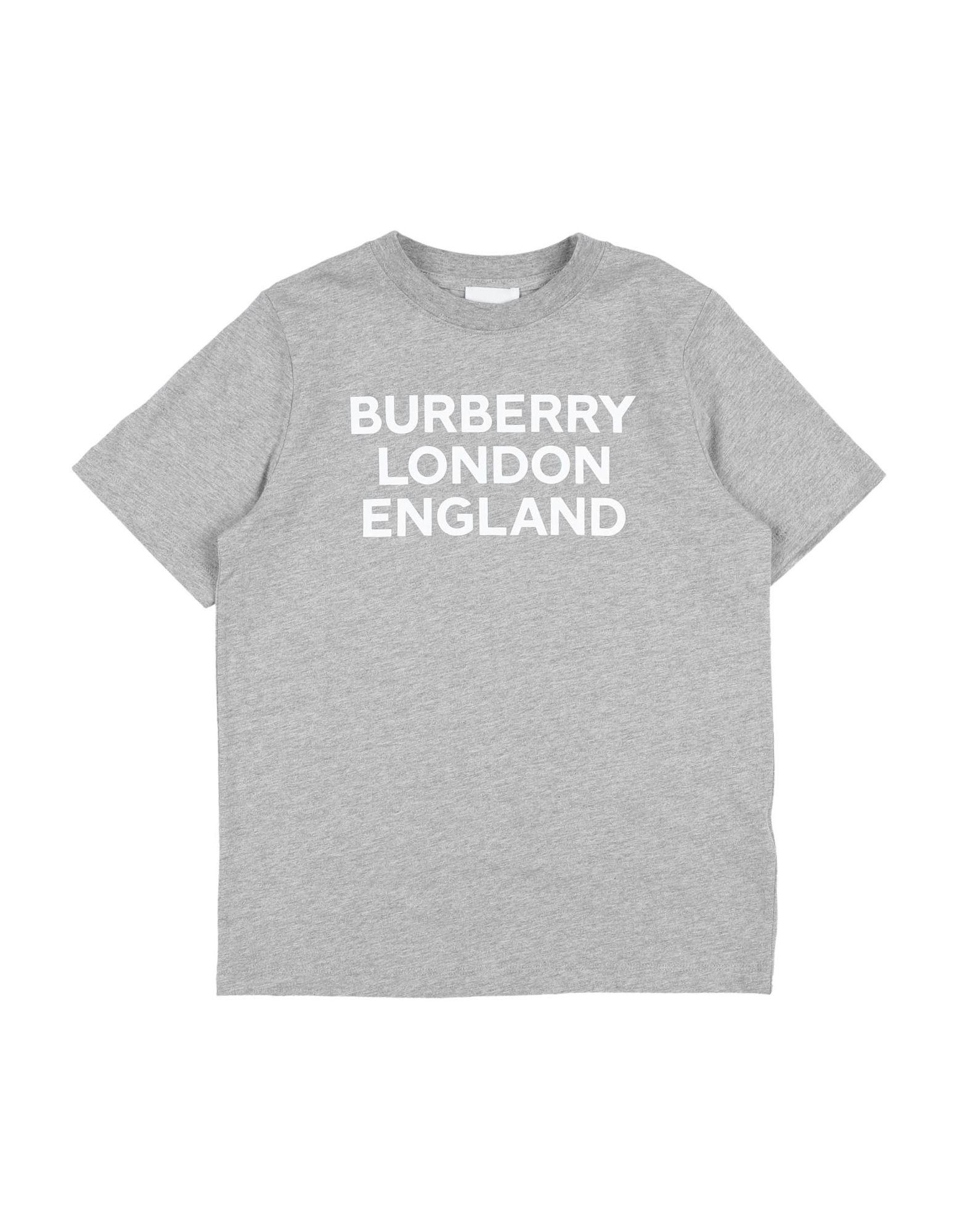 バーバリー(BURBERRY) メンズTシャツ・カットソー | 通販・人気 