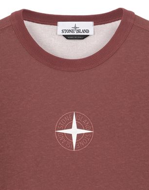 burgundy stone island t shirt