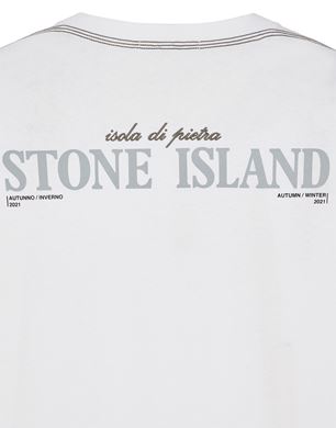 Stone island institutional sales t shirt