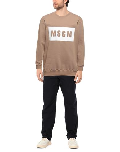 фото Толстовка msgm