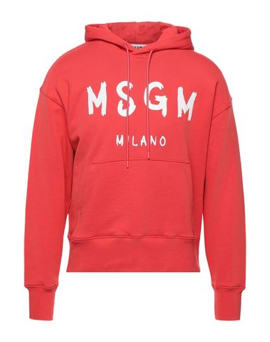 фото Толстовка msgm