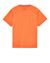 2 of 4 - Short sleeve t-shirt Man 20848 COTTON JERSEY 'INVERSE STRIPE TWO' PRINT_ GARMENT DYED Back STONE ISLAND