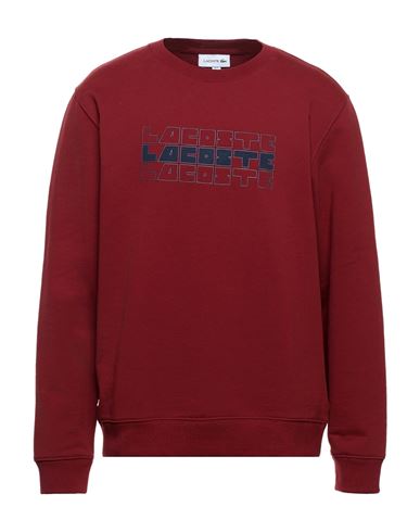 фото Толстовка lacoste