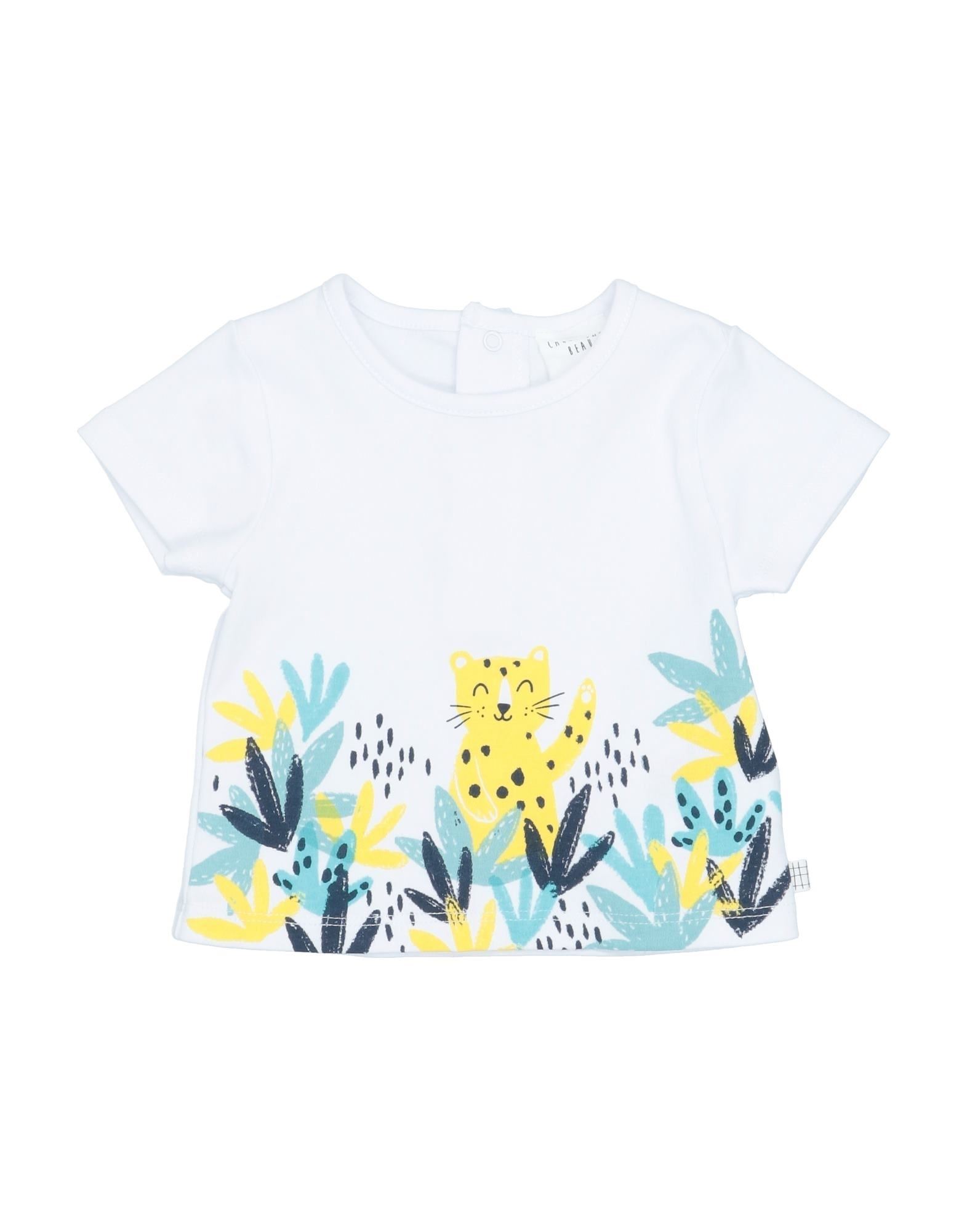 �ԥ����볫�����CARR?MENT BEAU �ܡ����� 0-24 ���� T ����� �ۥ磻�� 3 ���åȥ� 100%