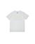 2 sur 4 - T-shirt manches courtes Homme 21070 COTTON JERSEY_‘LENTICULAR SCRITTA’ PRINT_GARMENT DYED Back STONE ISLAND JUNIOR