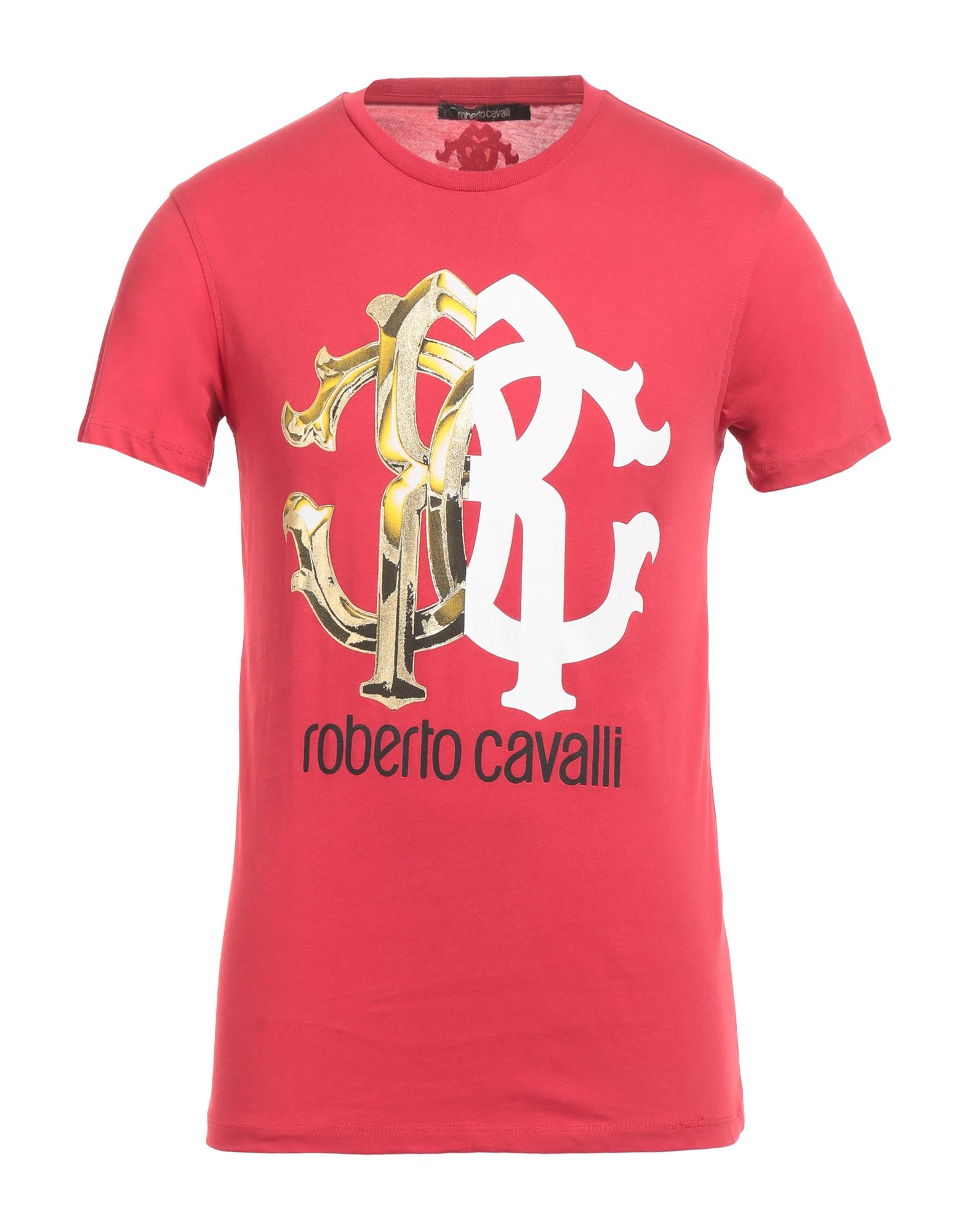 ロベルト・カバリ(Roberto Cavalli) メンズTシャツ・カットソー | 通販・人気ランキング - 価格.com