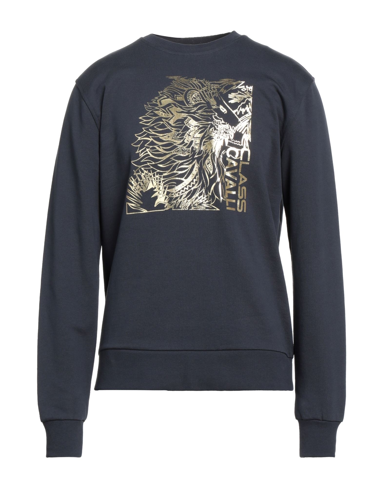 Cavalli Class Sweatshirts In Grey