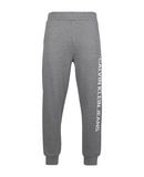 CALVIN KLEIN JEANS Herren Hose Farbe Grau Gr��e 4