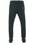13337103at - TROUSERS - 5 POCKETS STONE ISLAND Trousers 31008 STONE ISLAND