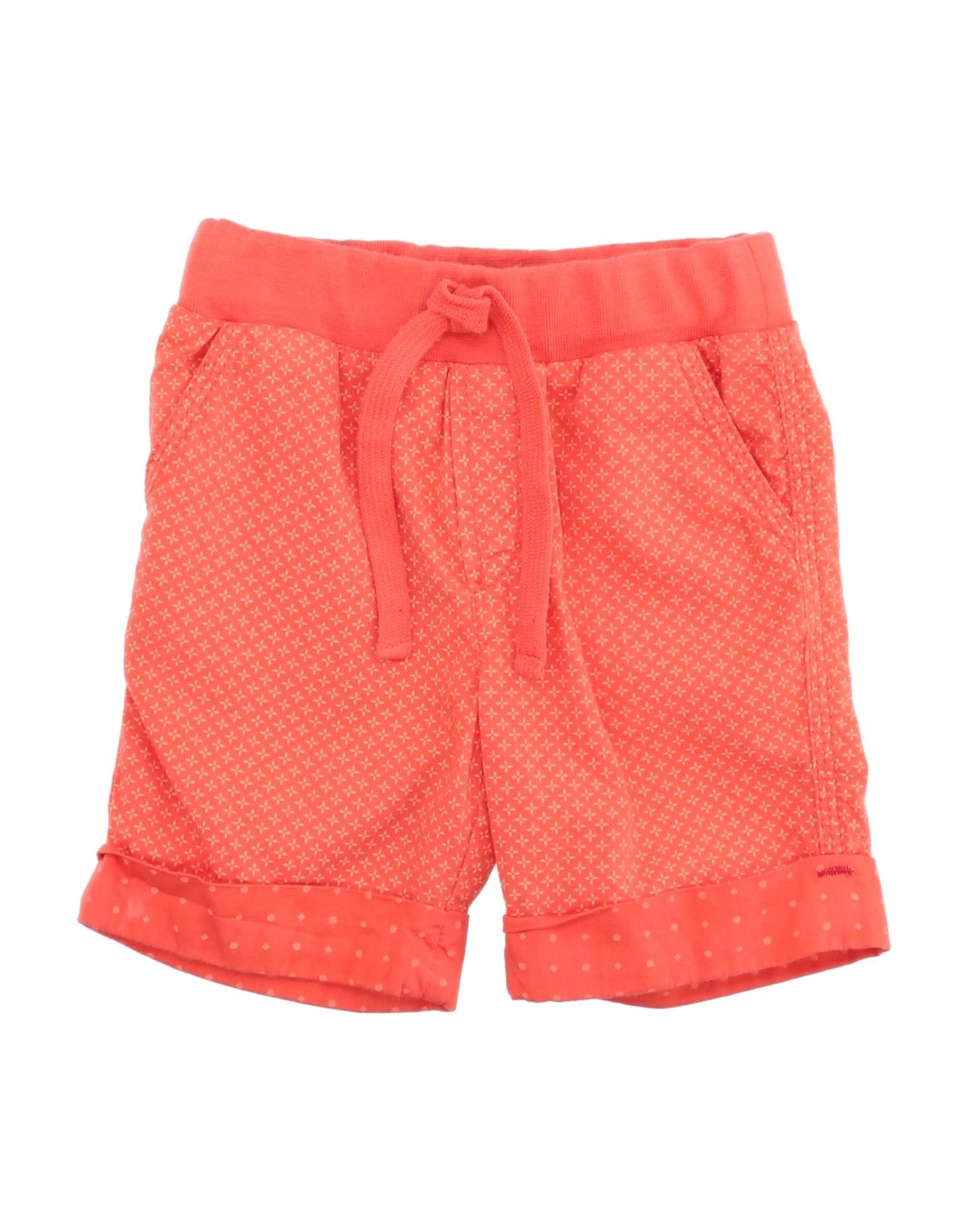 Officina 51 Kids' Shorts & Bermuda Shorts In Orange
