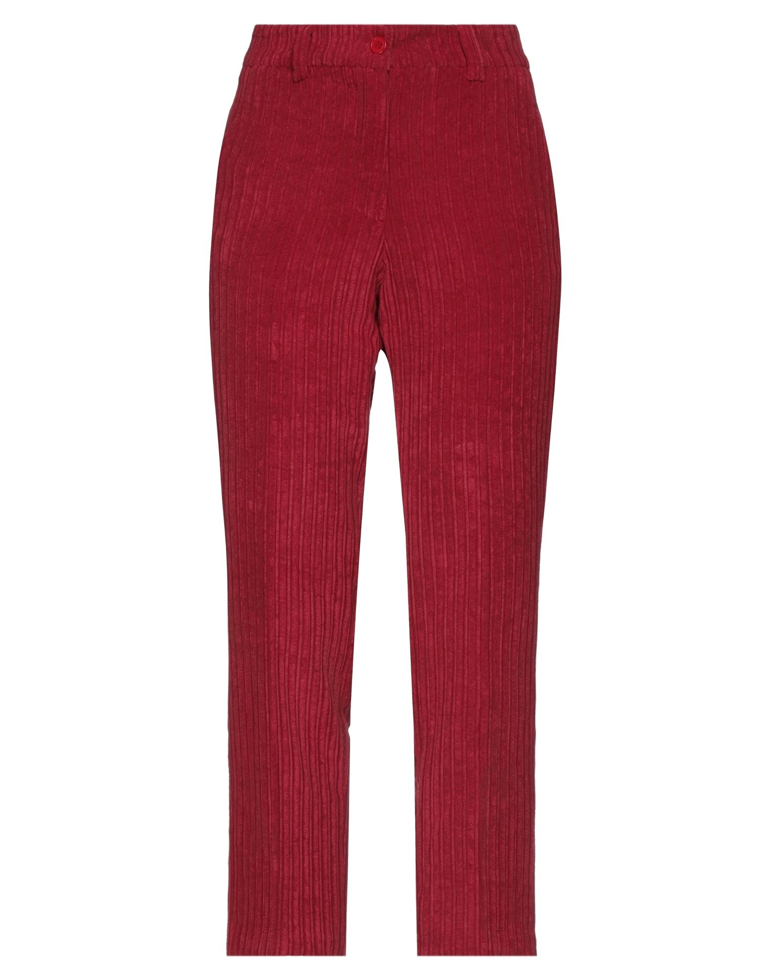 Vicolo Pants In Maroon