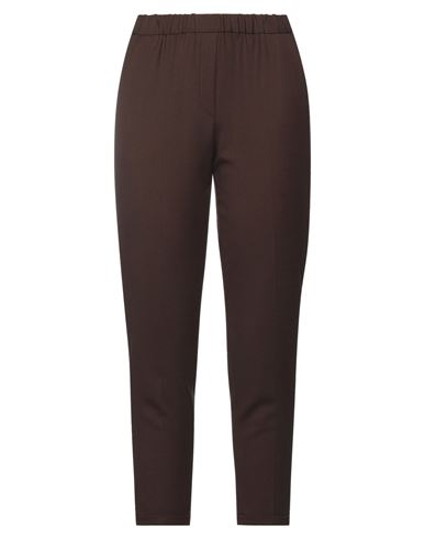 Antonelli Woman Pants Brown Size 4 Polyester, Virgin Wool, Lycra