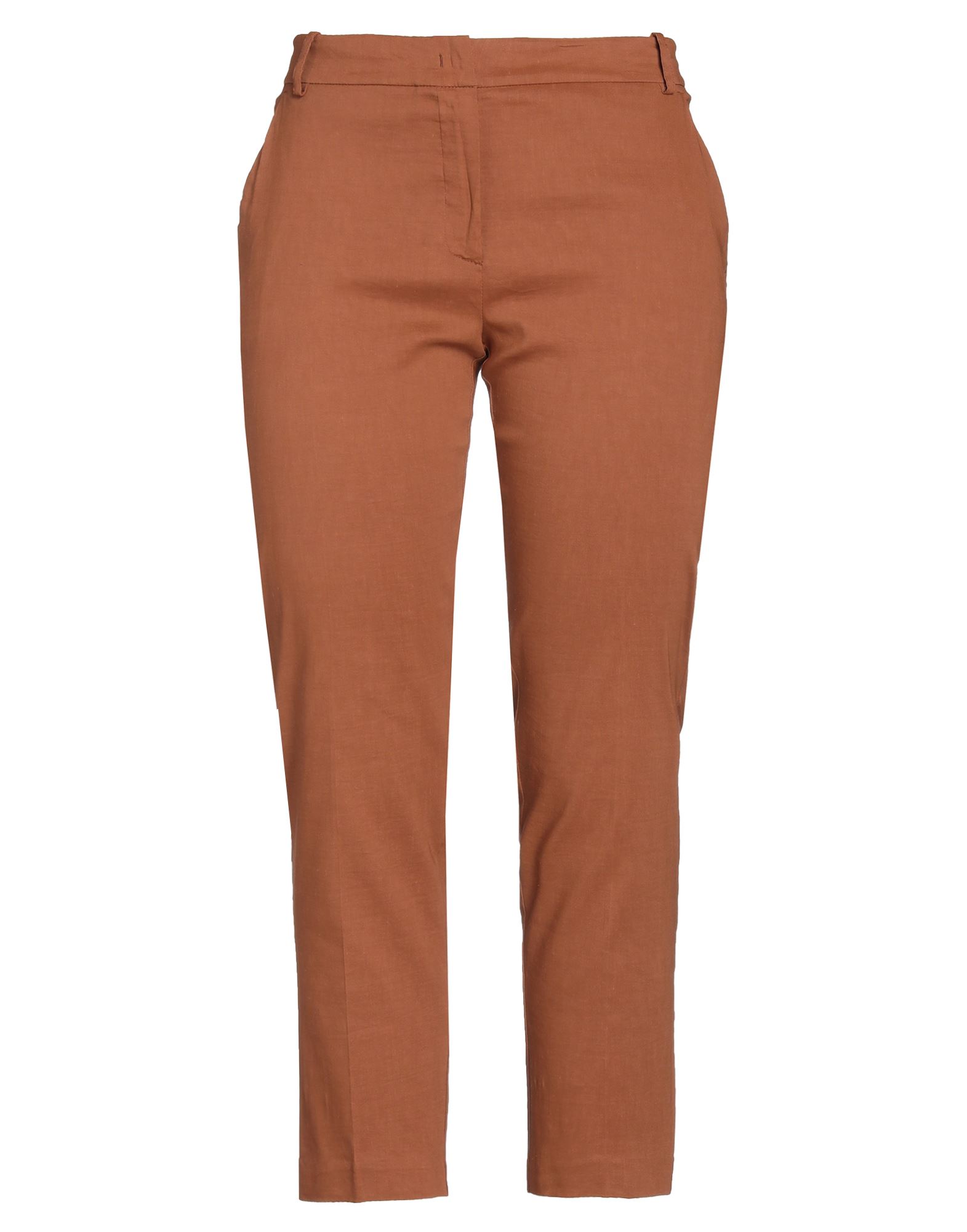 Pinko Pants In Brown