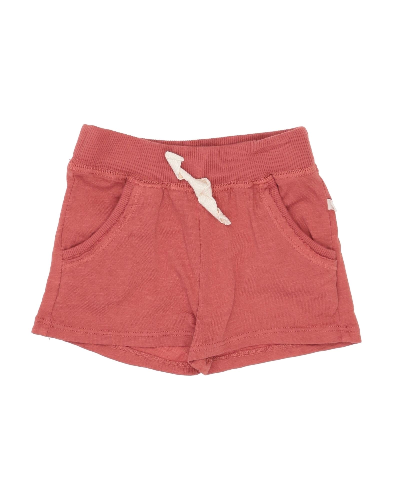 1+ In The Family Kids' 1 + In The Family Toddler Girl Shorts & Bermuda Shorts Brick Red Size 4 Cotton, Elastane