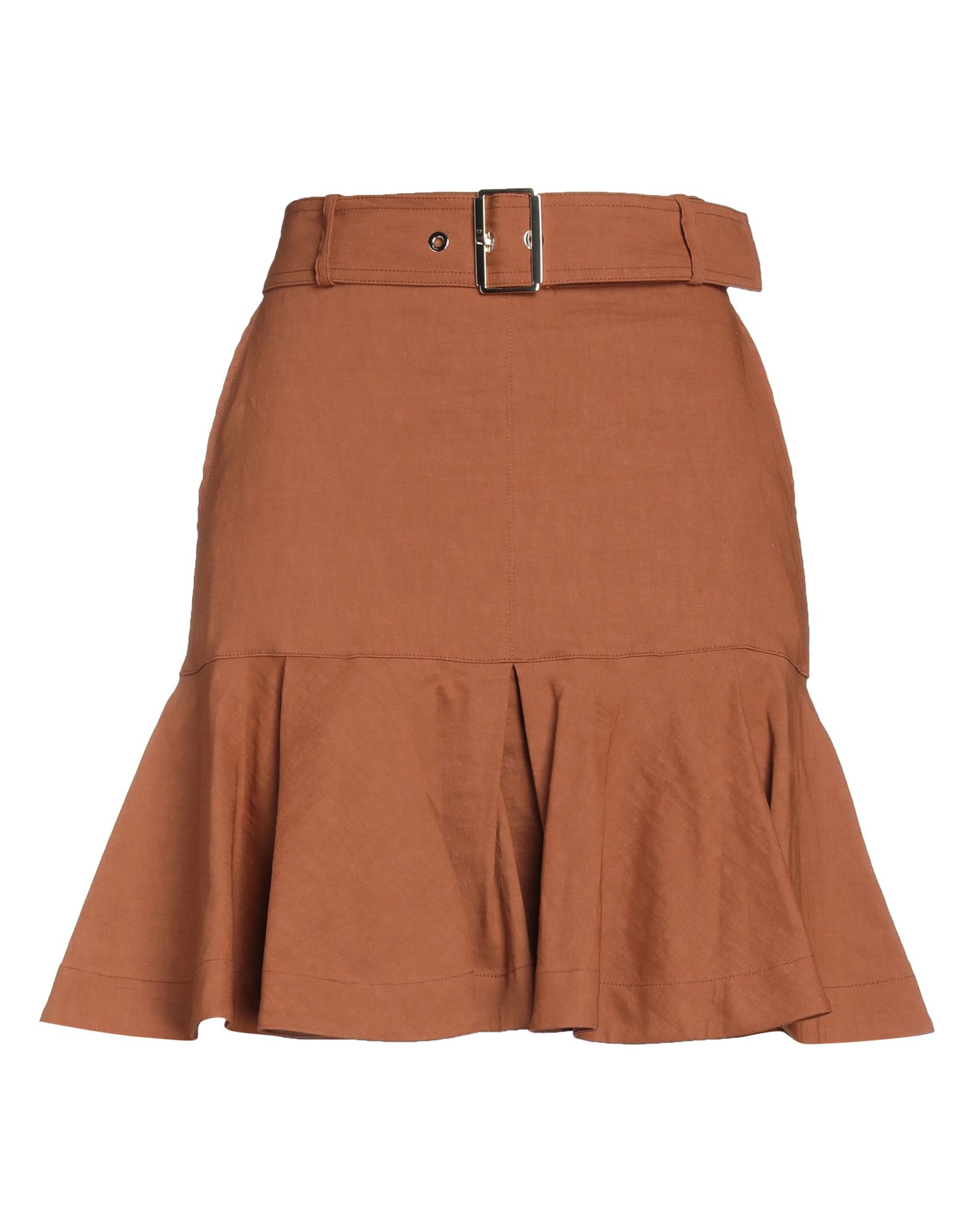 Pinko Mini Skirts In Brown