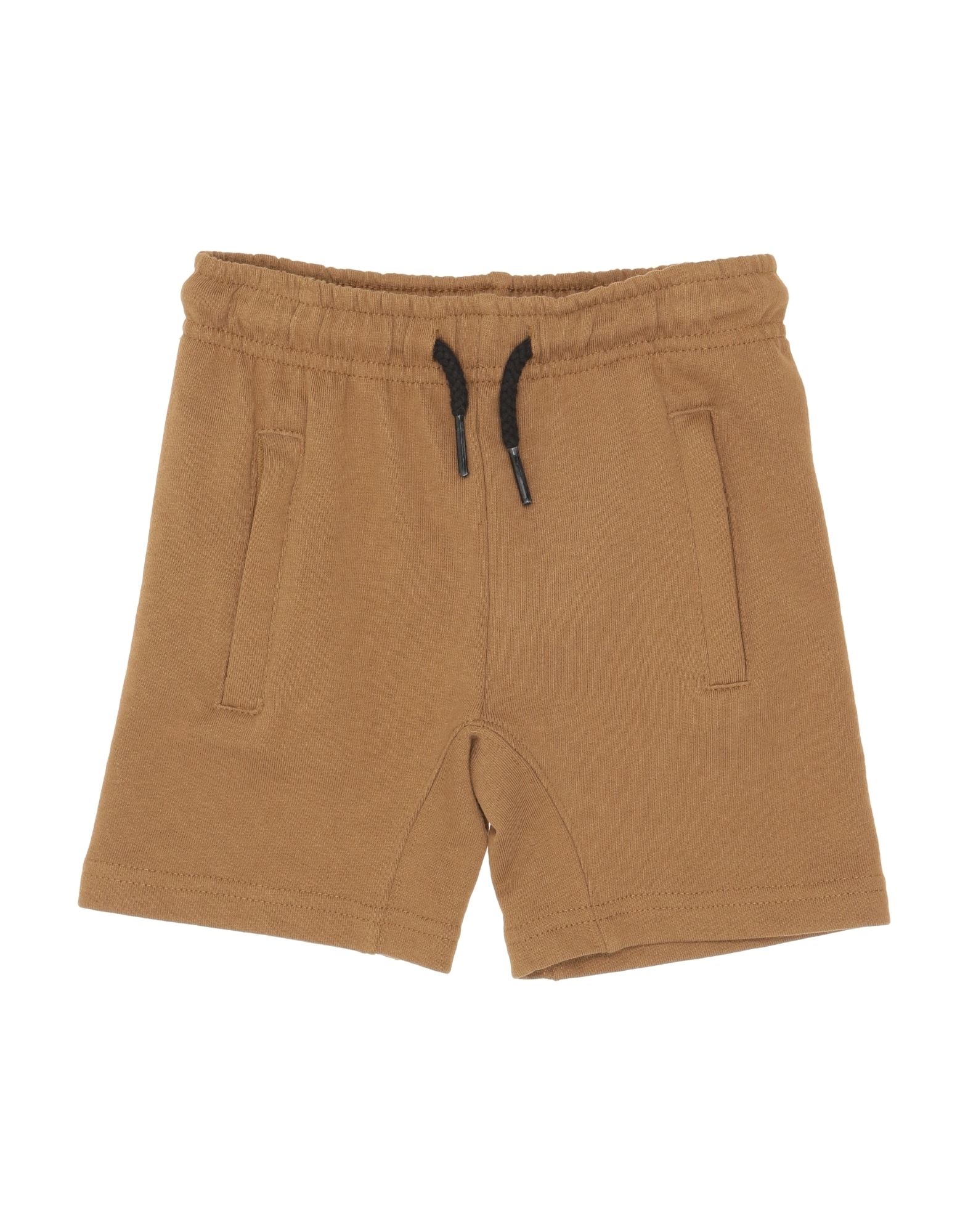 Molo Shorts & Bermuda Shorts In Brown