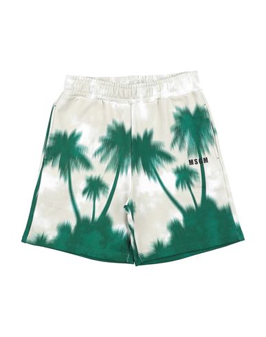 Msgm Toddler Boy Shorts & Bermuda Shorts Green Size 6 Cotton In Green