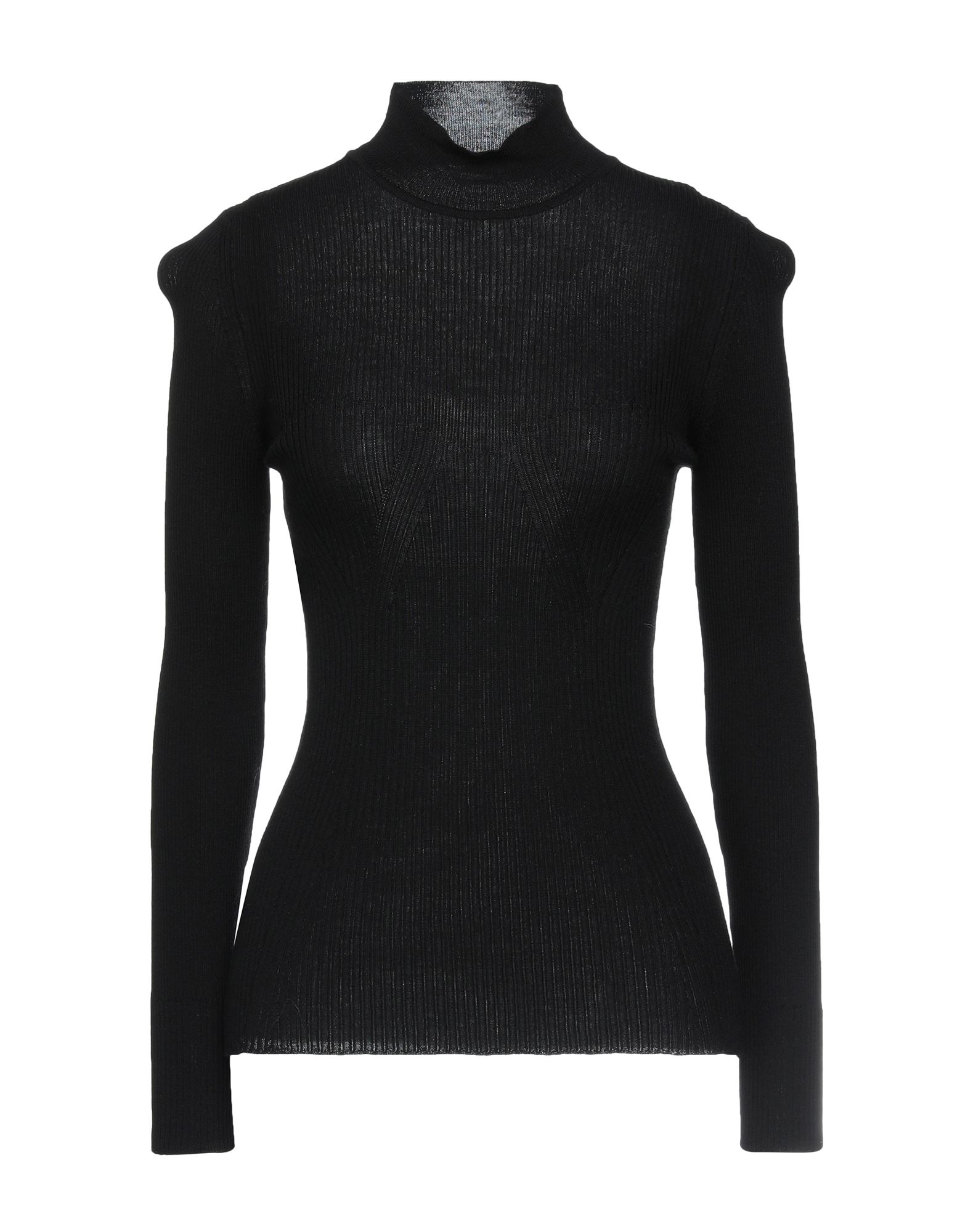 Alberta Ferretti Turtlenecks In Black