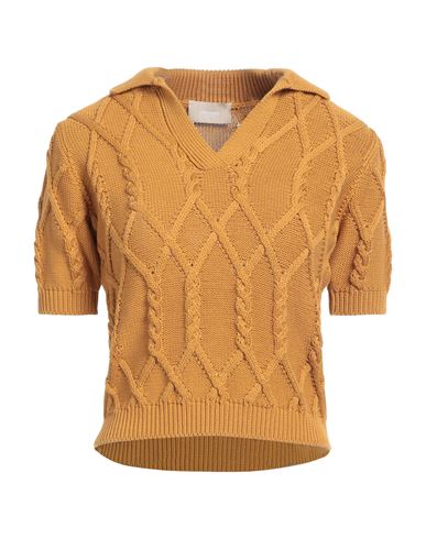 Drumohr Woman Sweater Mustard Size S Cotton In Yellow