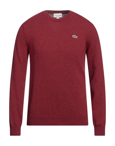 Lacoste Man Sweater Burgundy Size 5 Wool, Polyamide In Red