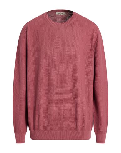 Gran Sasso Man Sweater Antique Rose Size 48 Cotton In Pink