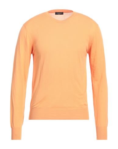 Tombolini Man Sweater Apricot Size 44 Cotton In Orange