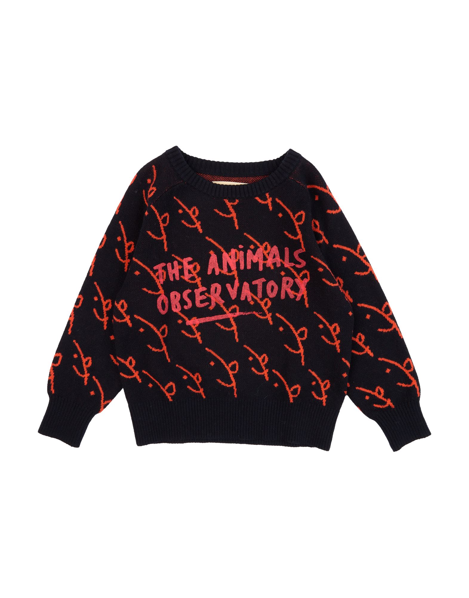 ԥ볫BELLEROSE ܡ 3-8  ץ륪С ֥å 8 åȥ 80% /  20% THE ANIMALS OBSERVATORY