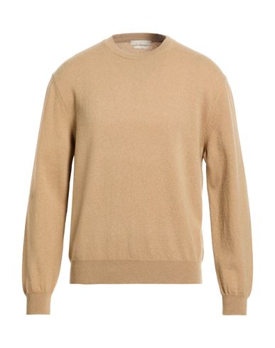 Pullover Herren Kamel L,M,S,XL,XXL Herren