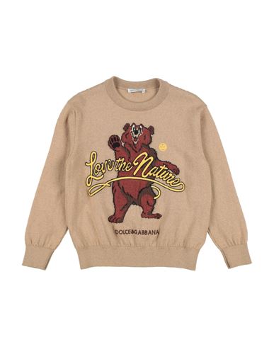 Dolce & Gabbana Babies'  Toddler Boy Sweater Beige Size 5 Virgin Wool, Wool, Acrylic In Brown