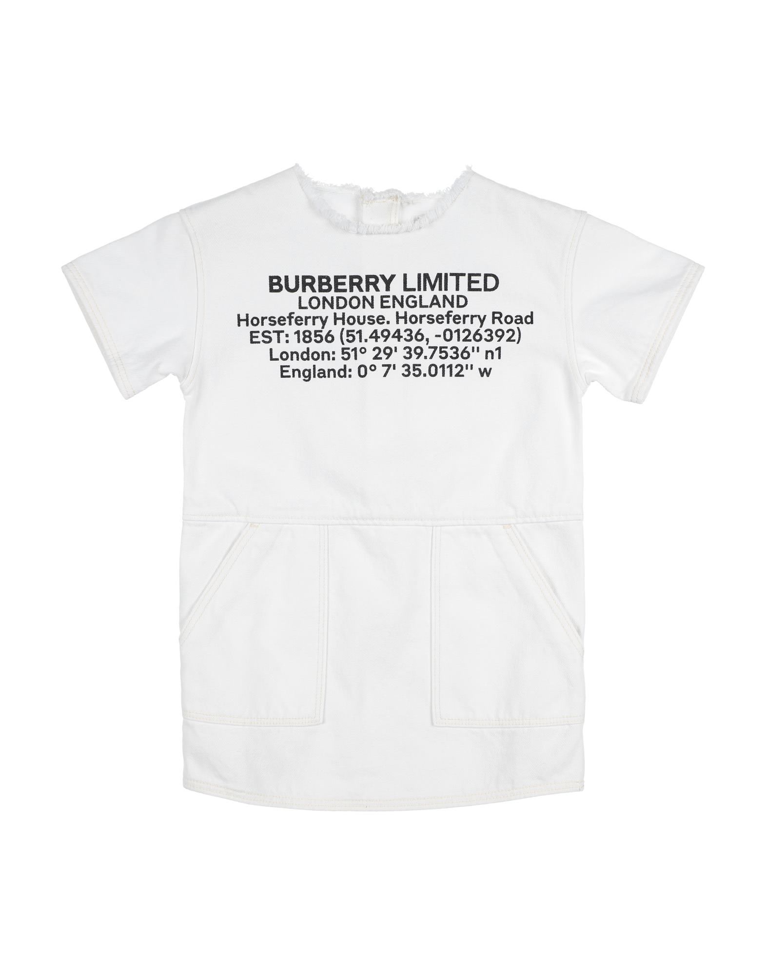 BURBERRY DRESSES,15043977PQ 6