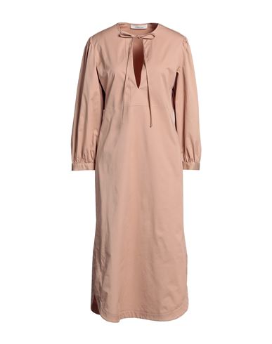 Liviana Conti Woman Midi Dress Light Brown Size 10 Cotton, Elastane In Beige