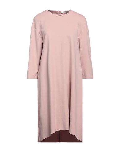 Liviana Conti Woman Midi Dress Pastel Pink Size 6 Cotton, Viscose, Virgin Wool, Elastane
