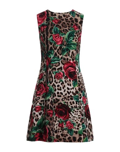 Dolce & Gabbana Woman Mini Dress Brown Size 6 Wool