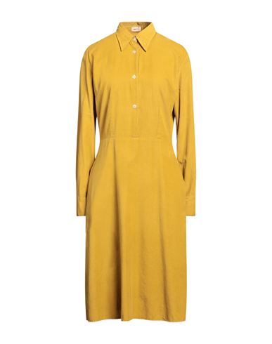 Shop Massimo Alba Woman Midi Dress Mustard Size M Cotton In Yellow