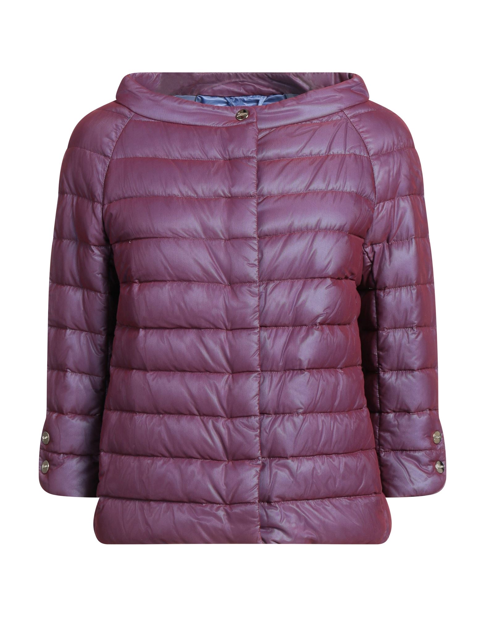 Herno Down Jackets In Purple