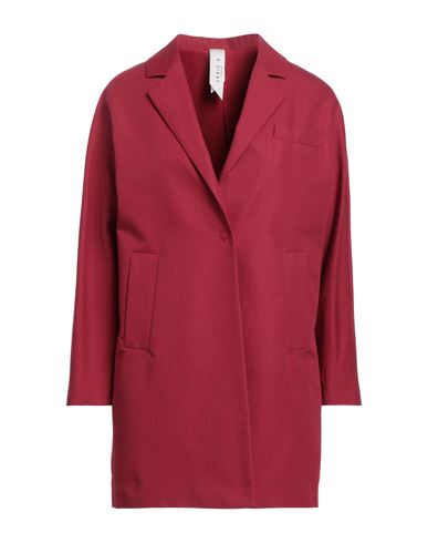Shop Annie P . Woman Overcoat & Trench Coat Garnet Size 10 Cotton In Red