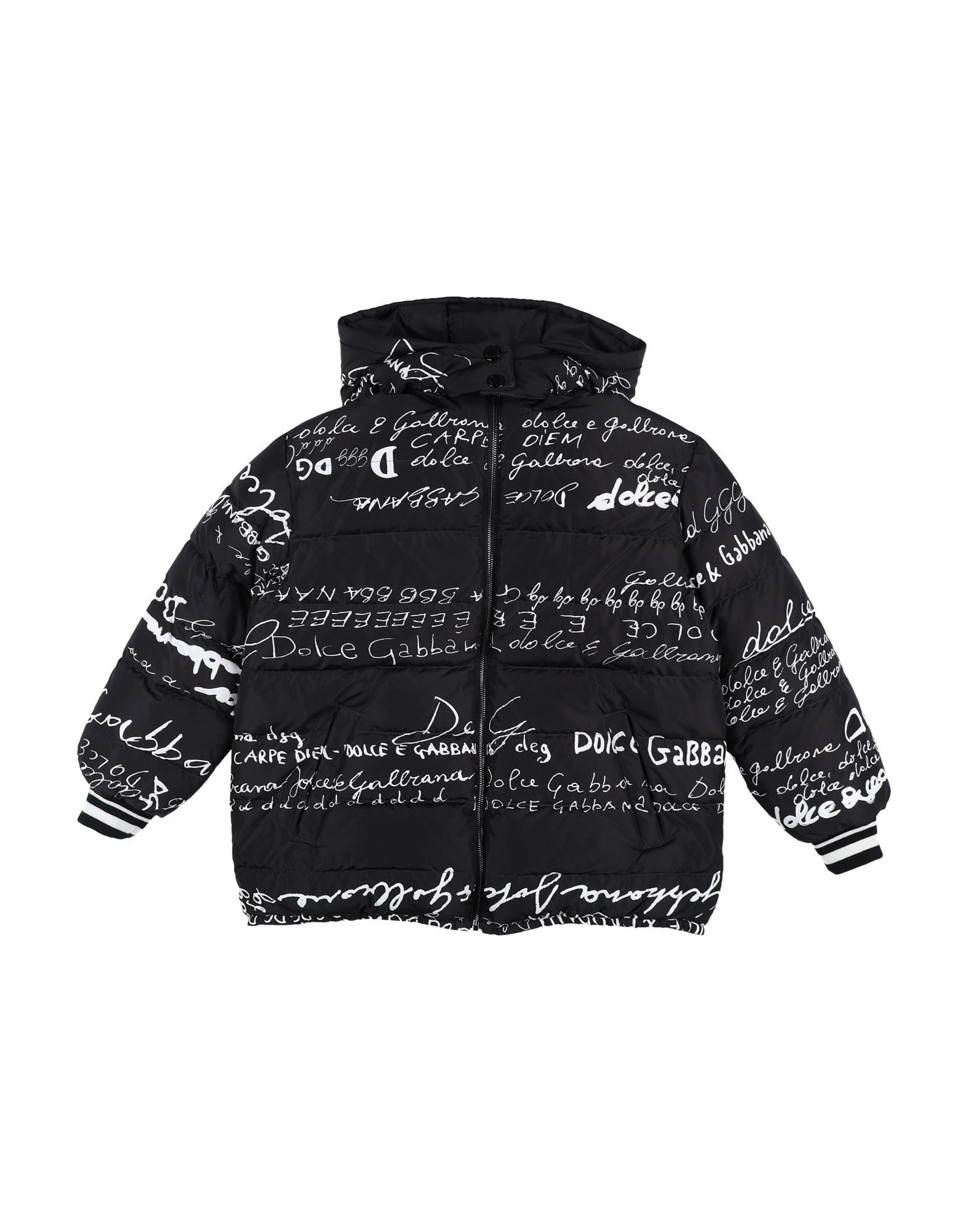 Dolce & Gabbana Down Jackets In Black