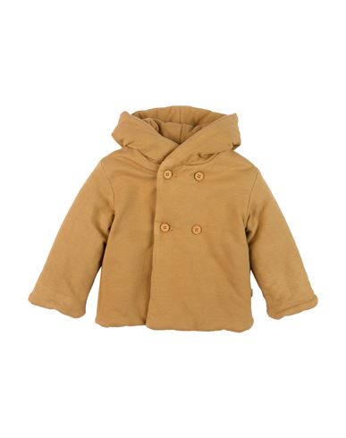 Teddy & Minou Newborn Boy Jacket Brown Size 3 Cotton, Elastane In Brown