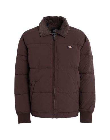 Shop Dickies Overbrook Eisenhower Puffer Man Puffer Cocoa Size Xl Polyamide In Brown