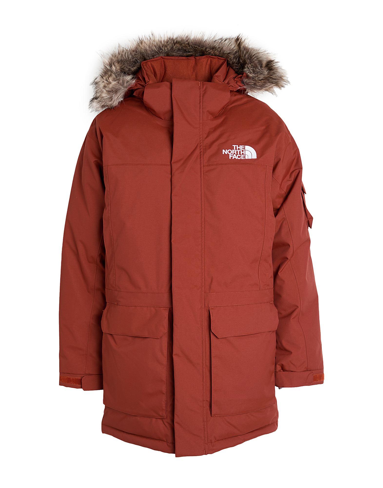 THE NORTH FACE ΠΑΛΤΟ & ΤΖΑΚΕΤ Μπουφάν με πούπουλα