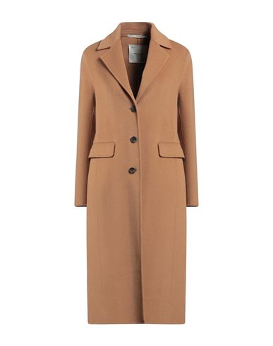 Shop Emma & Gaia Woman Coat Camel Size 10 Wool, Cashmere, Polyamide In Beige