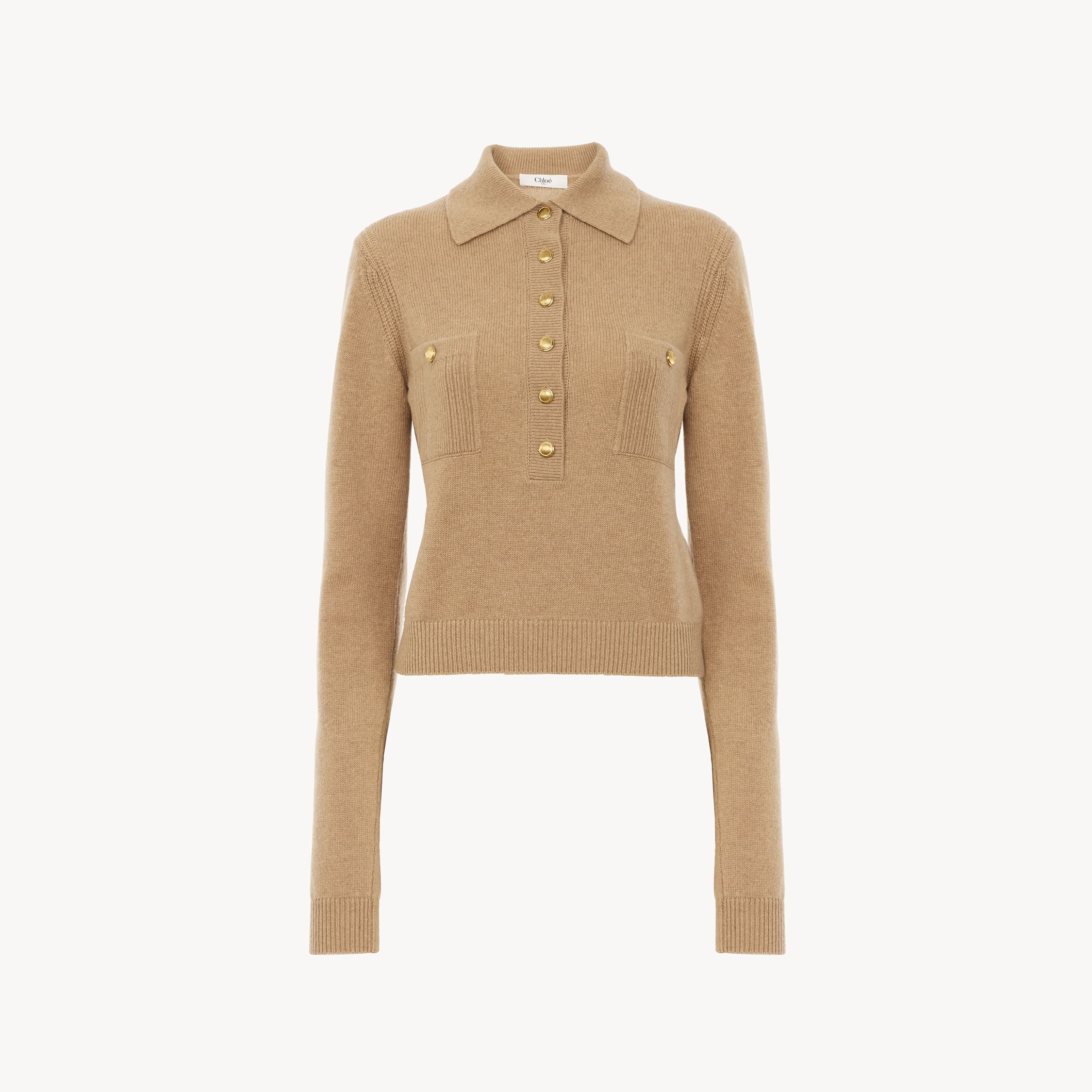Chloé Wool And Cashmere Polo Neck Sweater In Brown