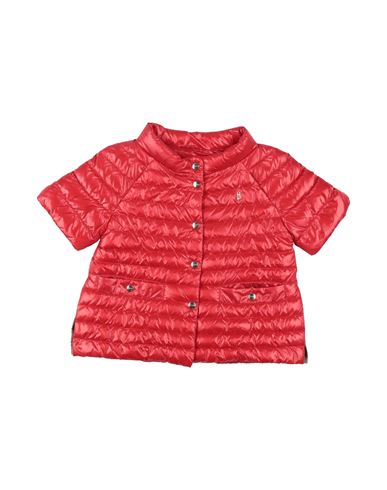 Herno Babies'  Toddler Girl Puffer Red Size 4 Polyamide, Polyester, Cotton