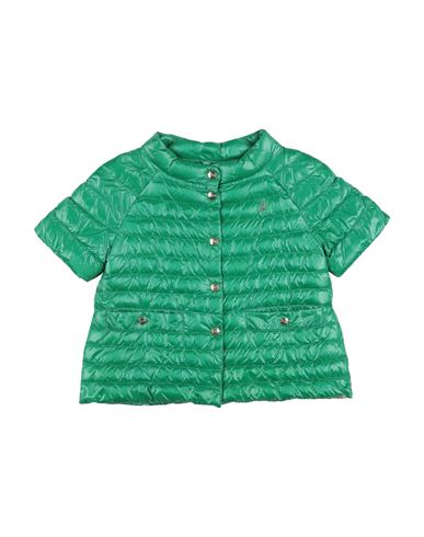Herno Toddler Girl Puffer Green Size 6 Polyamide, Polyester, Cotton In Green