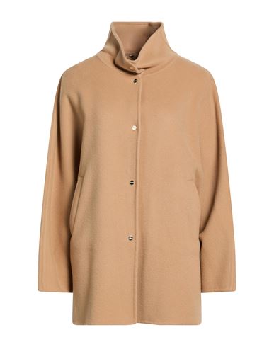 Herno Woman Coat Camel Size 10 Virgin Wool, Polyamide In Brown