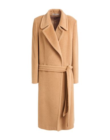 Tagliatore 02-05 Woman Coat Camel Size 4 Alpaca Wool, Virgin Wool In Sand