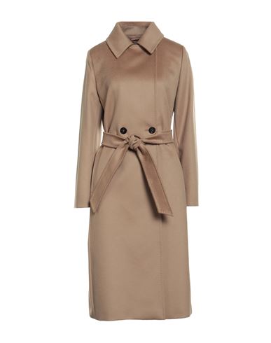 Max Mara Studio Woman Coat Camel Size 4 Virgin Wool In Brown