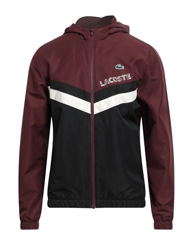Chaqueta y cazadora Hombre Burdeos 3 Hombre