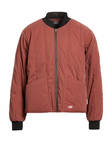 Dickies Man Puffer Brown Size S Polyester, Cotton