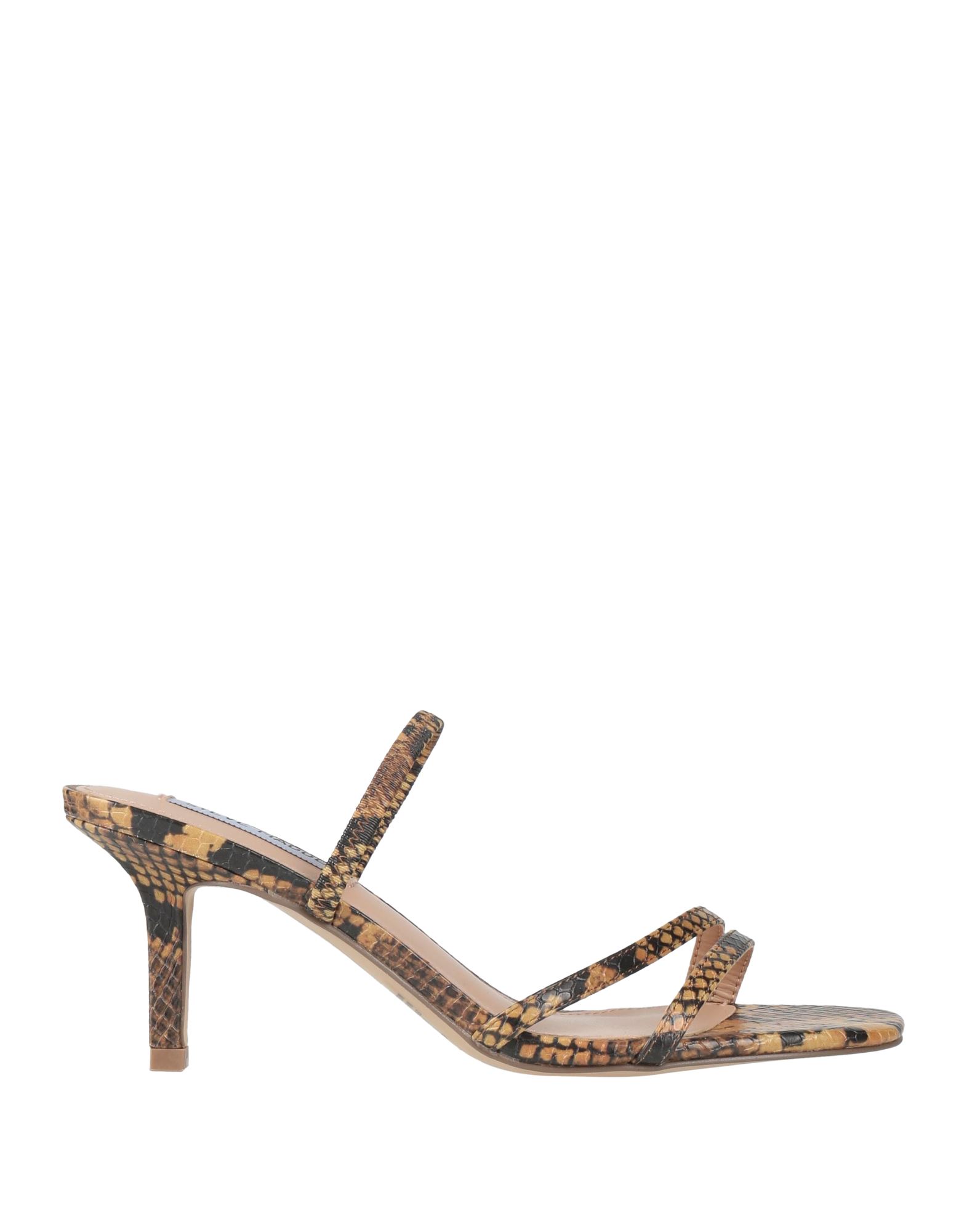 STEVE MADDEN ΠΑΠΟΥΤΣΙΑ Πέδιλα